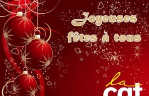 Joyeuses fêtes de fin d’année à vous et vos proches